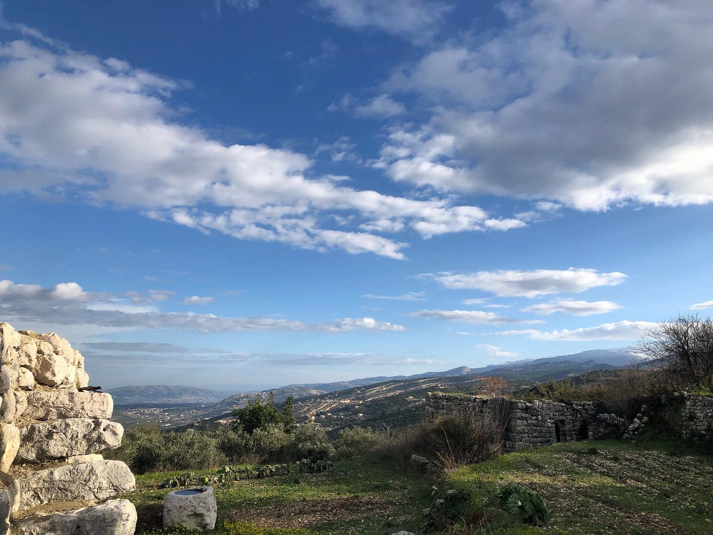 assia views